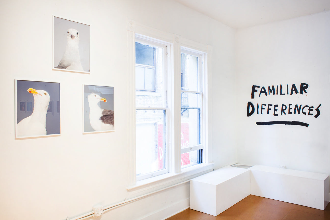 FAMILIAR DIFFERENCES | A group photography exhibition curated by Innocnts