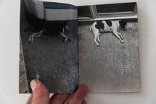 Load image into Gallery viewer, UNCUT GEMS | Dark Dog