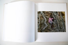 Load image into Gallery viewer, 1994