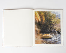 Load image into Gallery viewer, MEADOWLARK