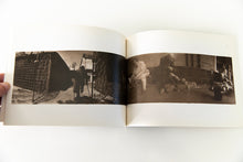 Load image into Gallery viewer, AFTER THE FALL