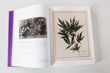Load image into Gallery viewer, ALTERED STATES | The Library of Julio Santo Domingo