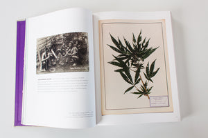 ALTERED STATES | The Library of Julio Santo Domingo