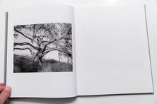 Load image into Gallery viewer, ANGELS POINT