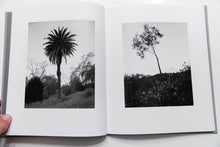 Load image into Gallery viewer, ANGELS POINT