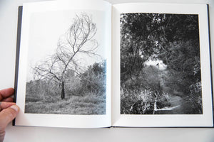 ARBOREAL