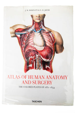 ATLAS OF THE HUMAN ANATOMY AND SURGERY | The Colorized Plates of 1831-1854