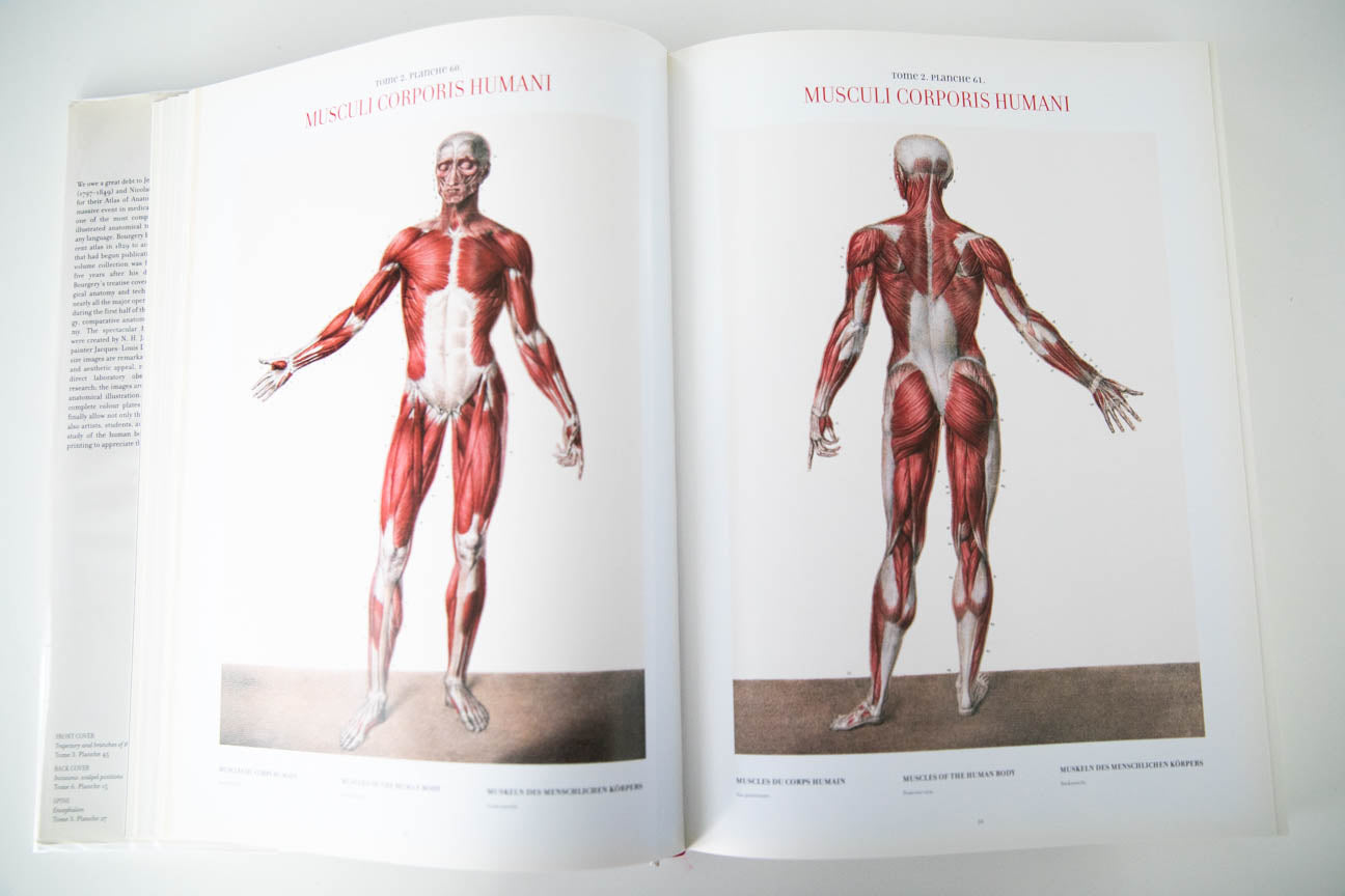 健康・医学 ATLAS OF HUMAN ANATOMY AND SURGERY Atlas of Human Anatomy and Surgery: Le Minor, Jean-Marie