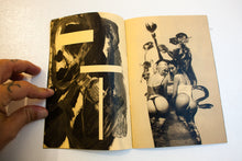 Load image into Gallery viewer, Acid Kate Clown