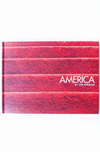 Load image into Gallery viewer, AMERICA | Zoe Strauss
