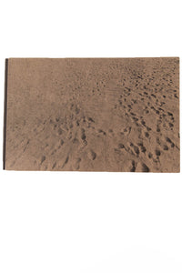 BEACH PICTURES | 1969-1970