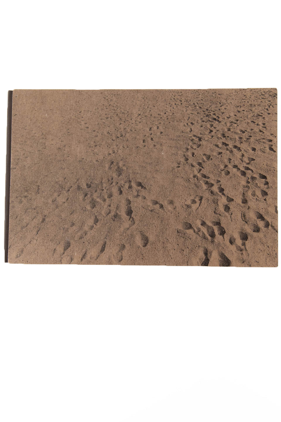 BEACH PICTURES | 1969-1970