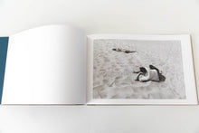 Load image into Gallery viewer, BEACH PICTURES | 1969-1970