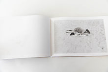 Load image into Gallery viewer, BEACH PICTURES | 1969-1970