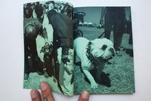 Load image into Gallery viewer, Bully