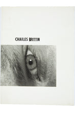 Load image into Gallery viewer, Charles Brittin | Exhibition Catalog