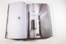 Load image into Gallery viewer, CHRYSALIS