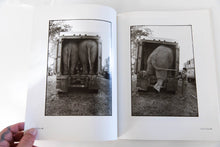 Load image into Gallery viewer, CIRCUS DAYS