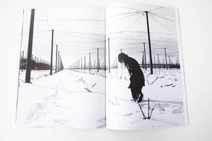 CARINA BRANDES at BQ