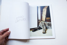 Load image into Gallery viewer, Cat
