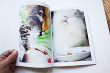 Load image into Gallery viewer, Cat