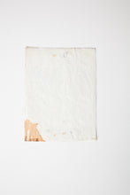 Load image into Gallery viewer, Flyer | Circle Jerks