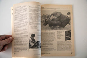 CoEVOLUTION QUARTERLY | No. 17 Spring 1978