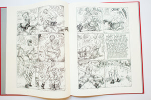 COMICS