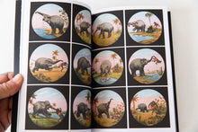 Load image into Gallery viewer, DISIDENCIA