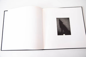ED RUSCHA | Robert Miller Gallery