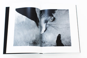 FAREWELL PHOTOGRAPHY