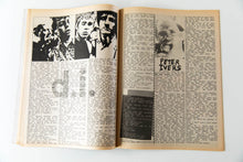 Load image into Gallery viewer, FLIPSIDE FANZINE No. 38