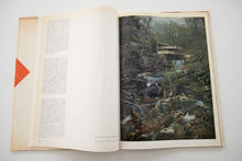 Load image into Gallery viewer, FRANK LOYD WRIGHT&#39;S FALLINGWATER
