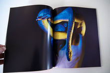 Load image into Gallery viewer, IMMEDIATELY