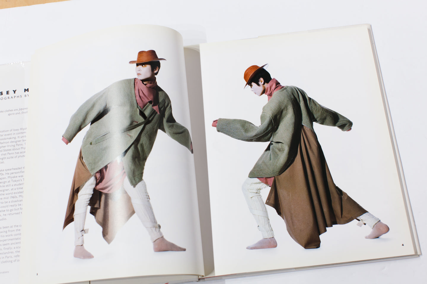 ISSEY MIYAKE | Photographs by Irving Penn – THESE DAYS