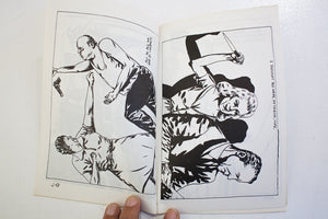 Raymond Pettibon | Jane's Book Of Fighting
