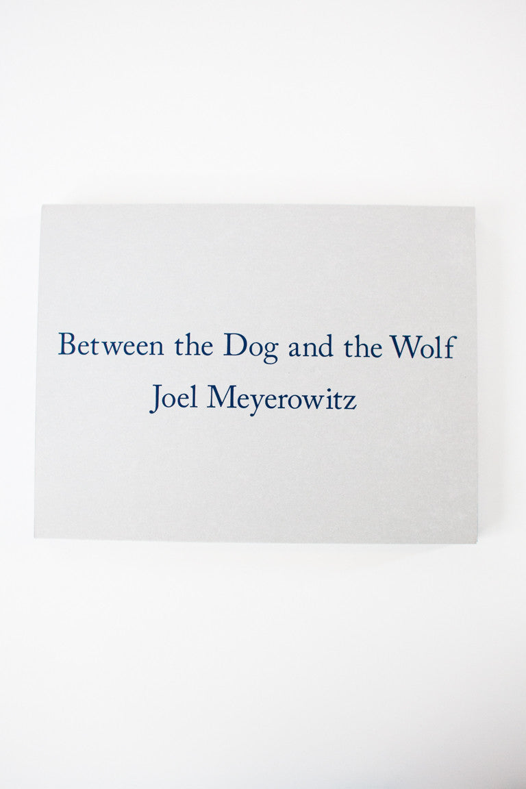Between the Dog and the Wolf – THESE DAYS