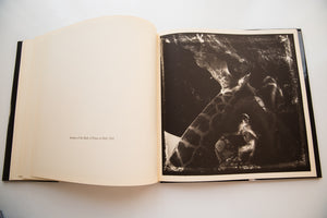 JOEL-PETER WITKIN | Photographs