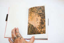 Load image into Gallery viewer, JOSHUA TREE