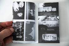 Load image into Gallery viewer, LARCENY