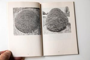 LOS ARBUSTOS DE LA MUERTE