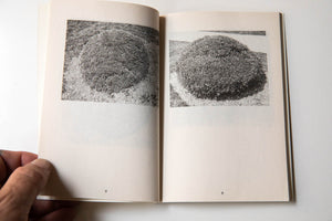 LOS ARBUSTOS DE LA MUERTE