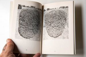 LOS ARBUSTOS DE LA MUERTE