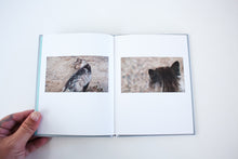 Load image into Gallery viewer, Lion King