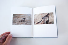 Load image into Gallery viewer, Lion King
