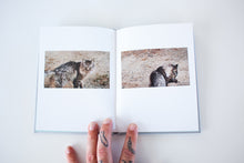 Load image into Gallery viewer, Lion King