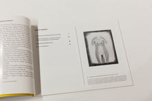 Load image into Gallery viewer, MADE IN PRISON | Contemporary Art by Incarcerated Men and Women