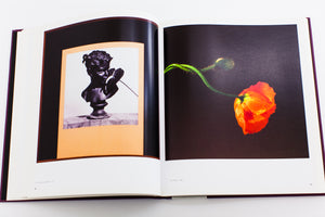 MAPPLETHORPE | THE NYMPH PHOTOGRAPHY
