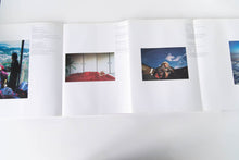 Load image into Gallery viewer, MIWA YANAGI