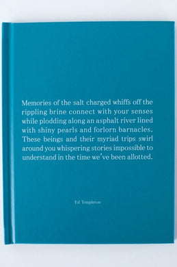 MEMORIES OF THE SALT CHARGED WHIFFS